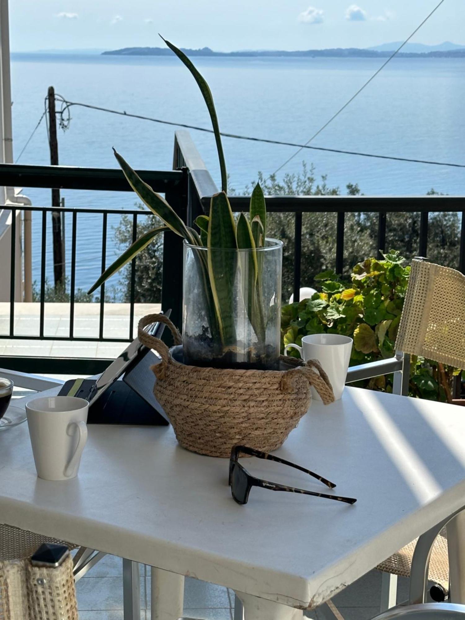 Vladimiros Apartments Barbati Exteriér fotografie