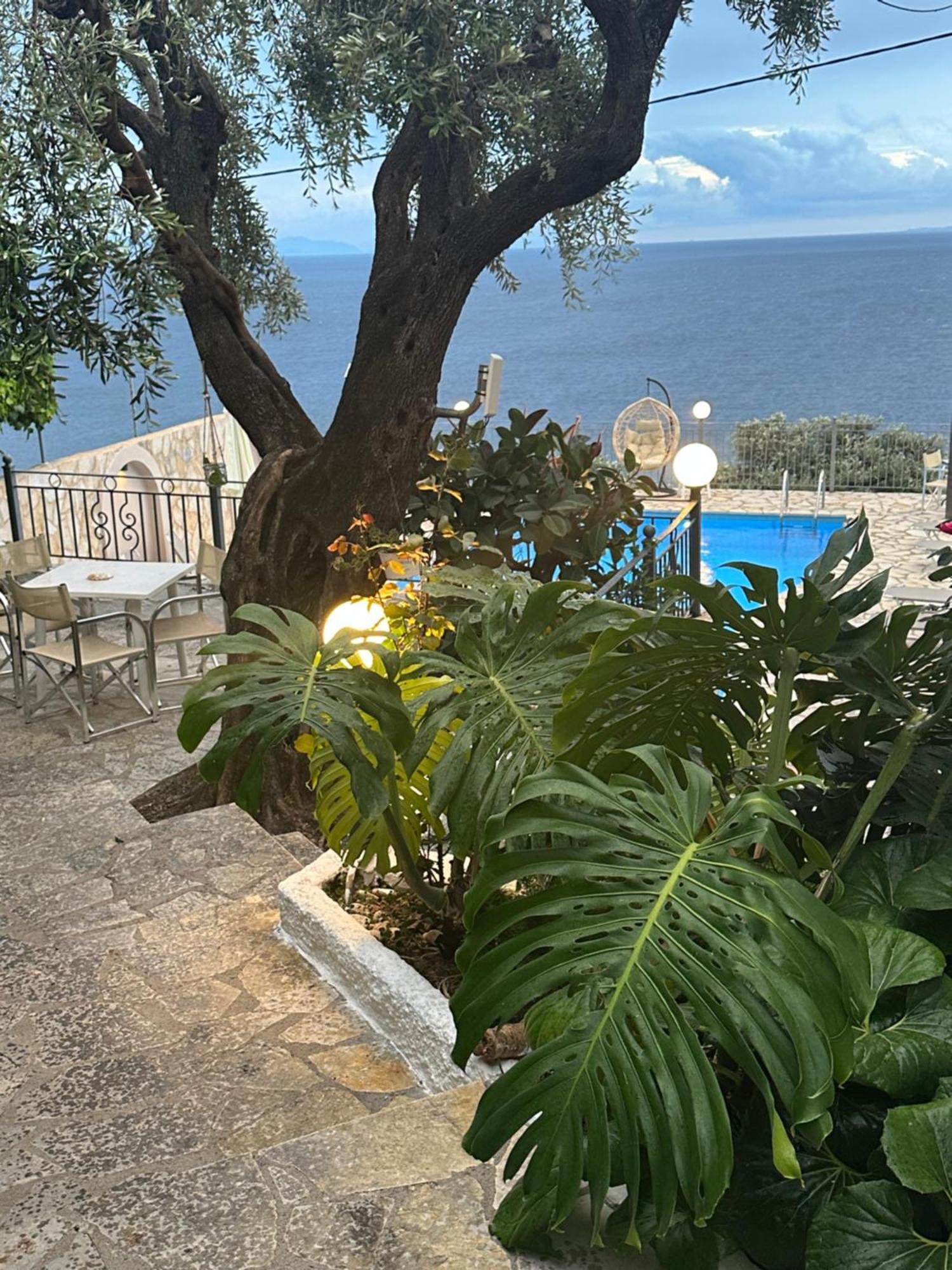 Vladimiros Apartments Barbati Exteriér fotografie