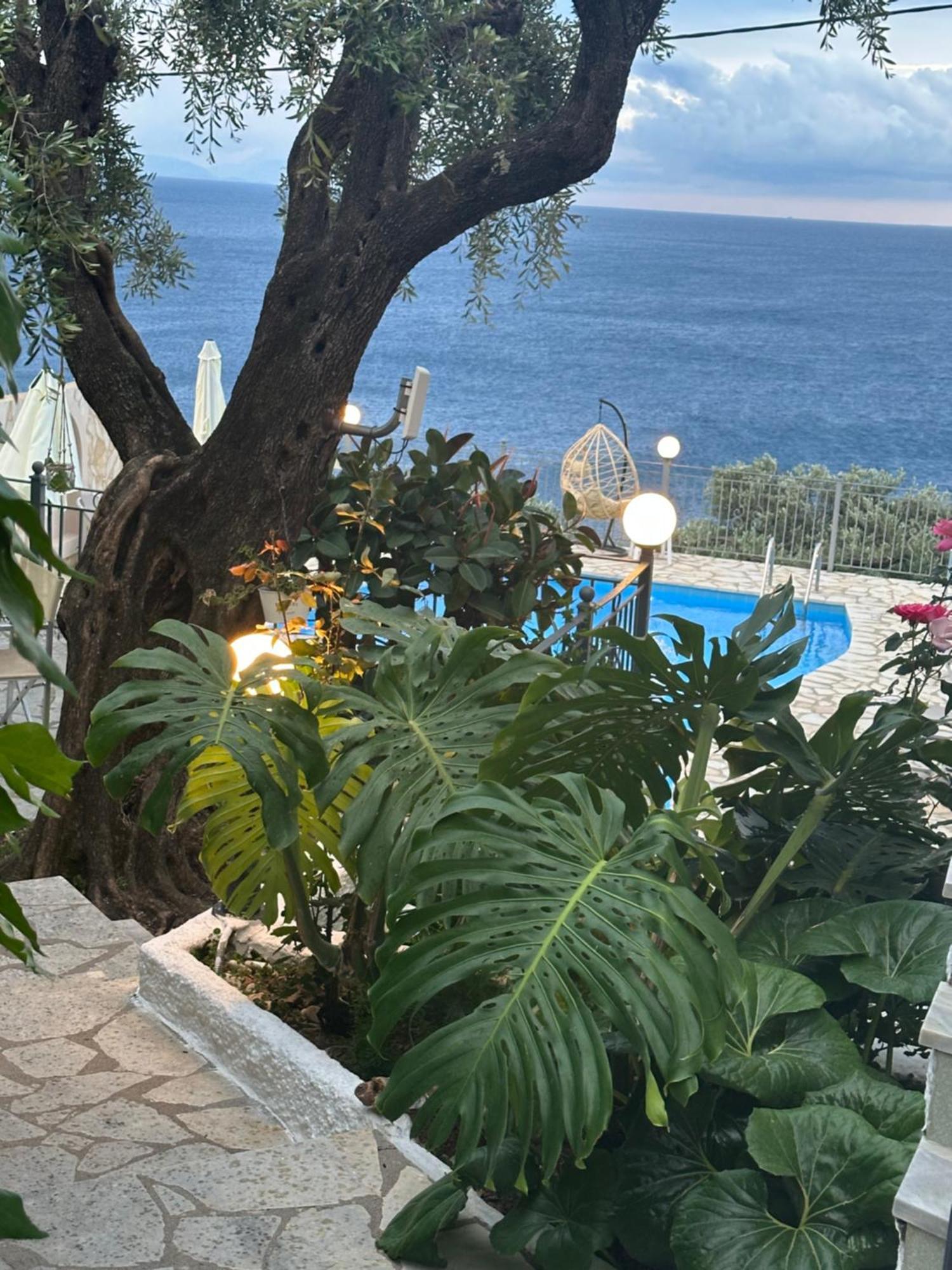 Vladimiros Apartments Barbati Exteriér fotografie